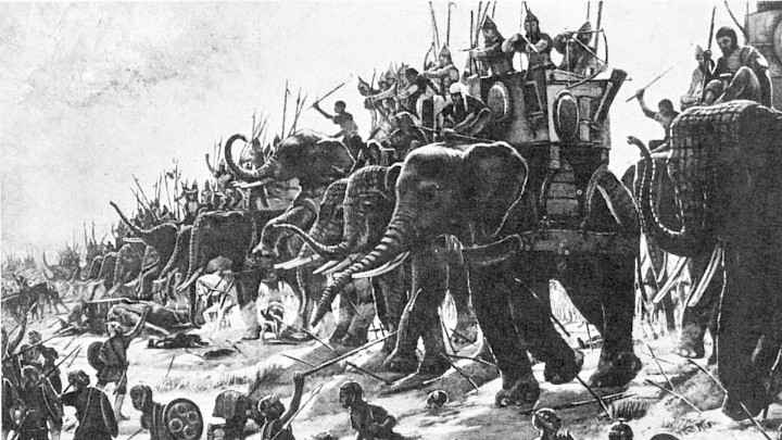 Size of war elephants