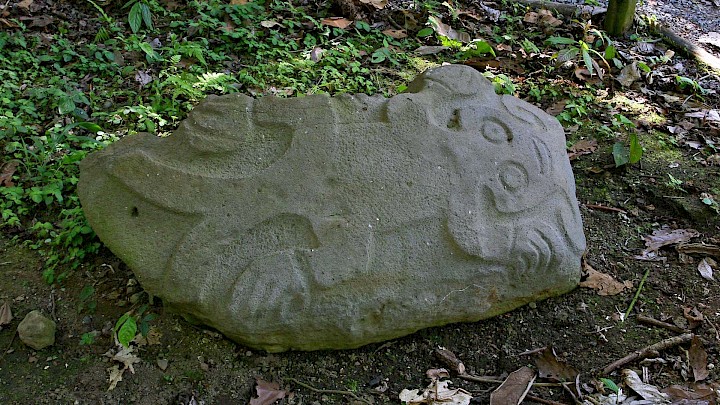 Guayabo de Turrialba