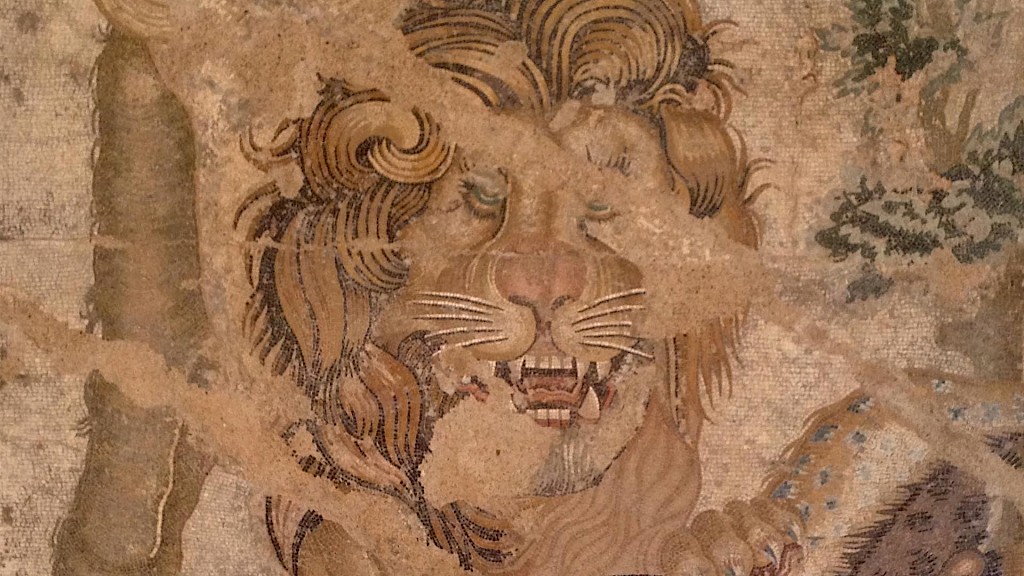 A lion attacking a leopard