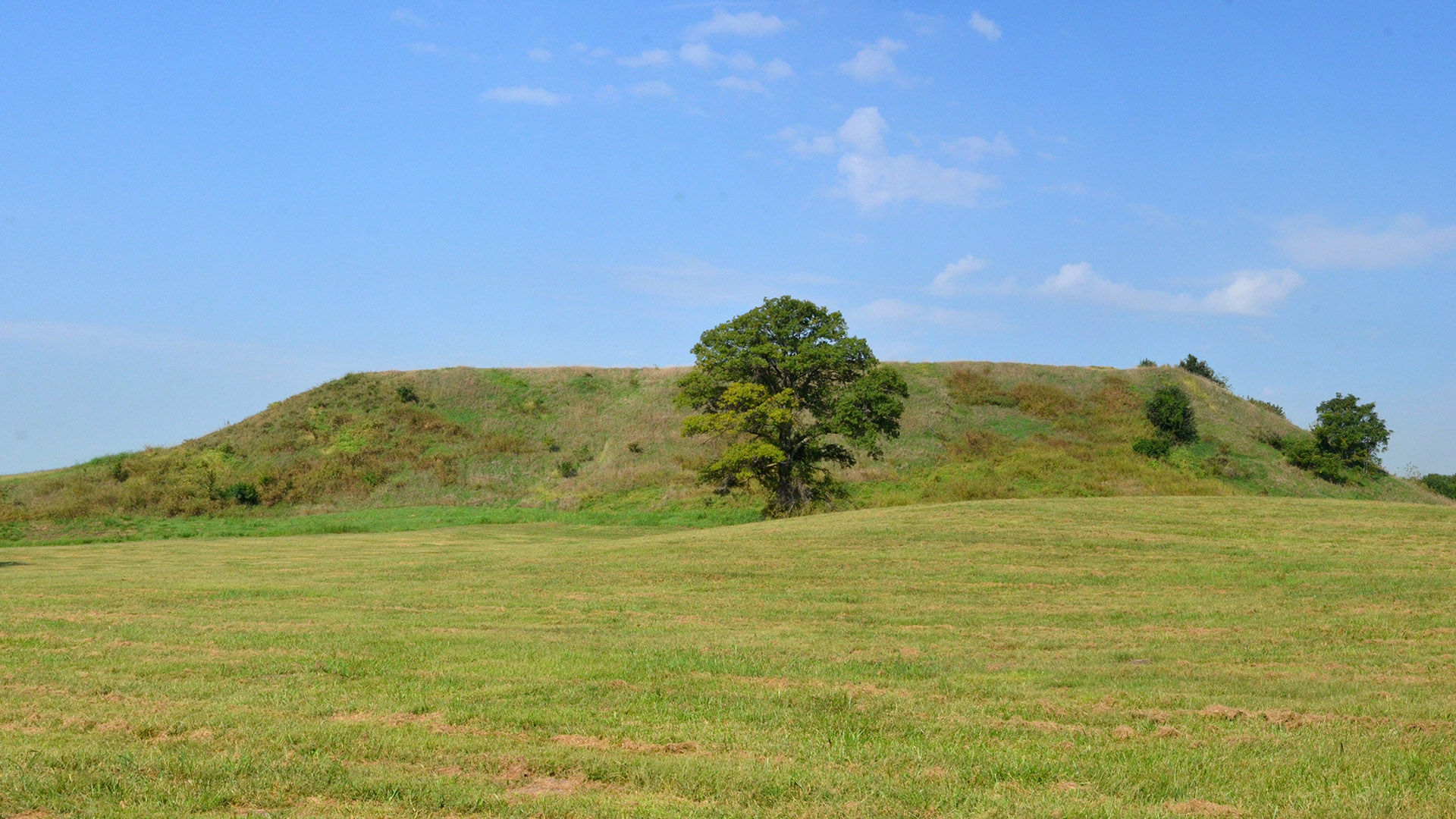 Four Lost Cities - A book by Annalee Newitz - Ancient World Magazine